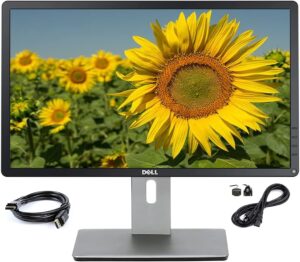 Dell P2214HB